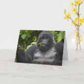 Berg Gorilla und Silverback Karte (Gelbe Blume)