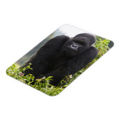 Berg Gorilla und Silverback Magnet (Linke Seite)