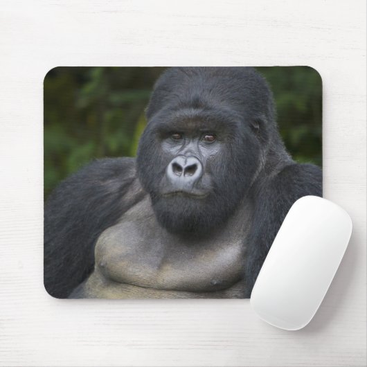 Berg Gorilla und Silverback Mousepad (Mit Mouse)