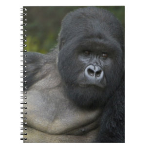 Berg Gorilla und Silverback Notizblock