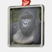 Berg Gorilla und Silverback Ornament Aus Metall (Links)