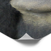 Berg Gorilla und Silverback Poster (Ecke)