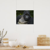 Berg Gorilla und Silverback Poster (Küche)