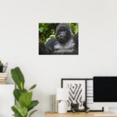 Berg Gorilla und Silverback Poster (Heimbüro)
