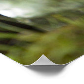 Berg Gorilla und Silverback Poster (Ecke)