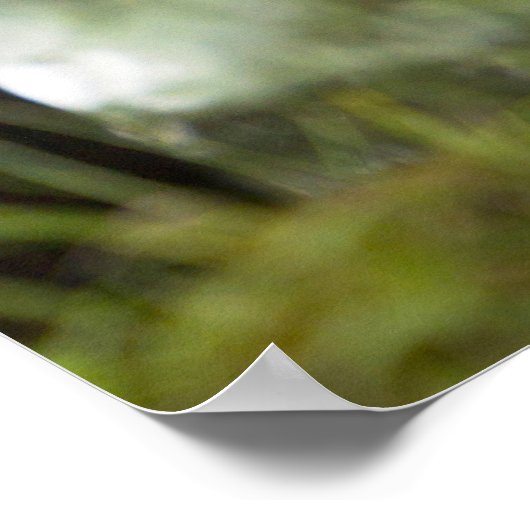 Berg Gorilla und Silverback Poster (Ecke)