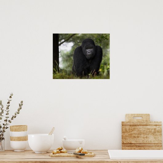 Berg Gorilla und Silverback Poster (Küche)