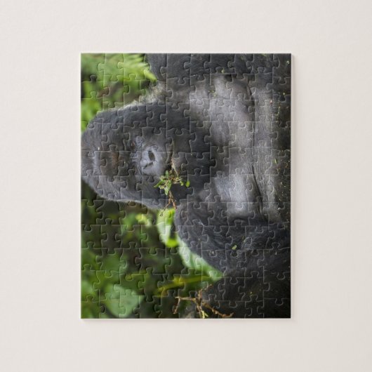 Berg Gorilla und Silverback Puzzle (Vertikal)
