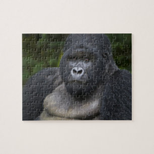 Berg Gorilla und Silverback Puzzle