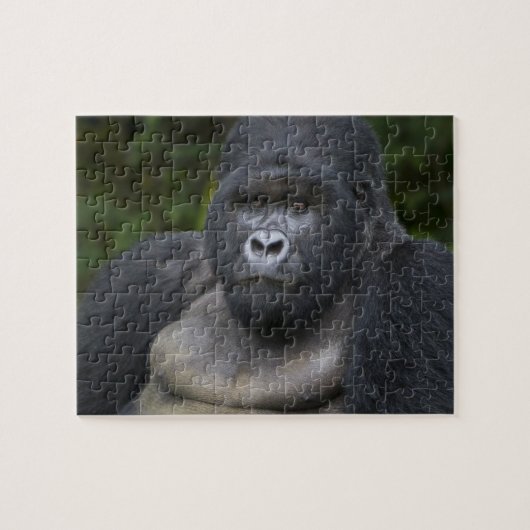 Berg Gorilla und Silverback Puzzle (Horizontal)