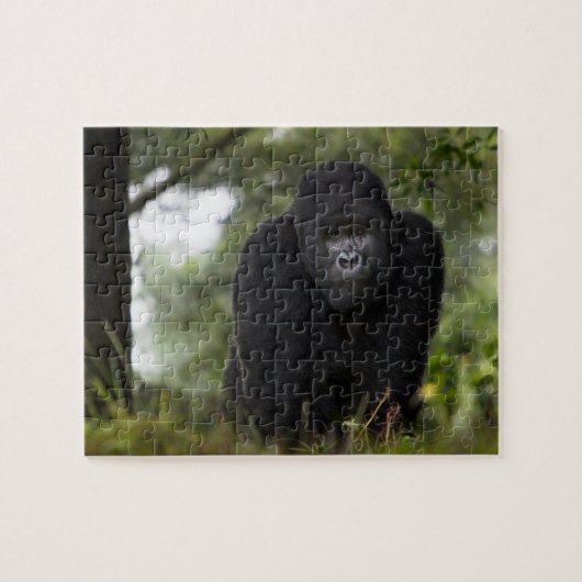 Berg Gorilla und Silverback Puzzle (Horizontal)