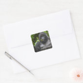 Berg Gorilla und Silverback Quadratischer Aufkleber (Umschlag)