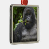 Berg Gorilla und Silverback Silbernes Ornament (Rechts)