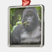 Berg Gorilla und Silverback Silbernes Ornament (Links)
