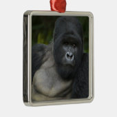 Berg Gorilla und Silverback Silbernes Ornament (Rechts)