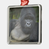 Berg Gorilla und Silverback Silbernes Ornament (Links)