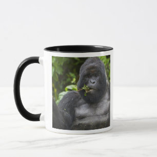 Berg Gorilla und Silverback Tasse