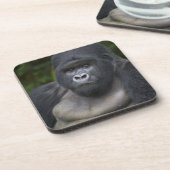 Berg Gorilla und Silverback Untersetzer (Linke Seite)