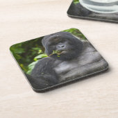 Berg Gorilla und Silverback Untersetzer (Linke Seite)