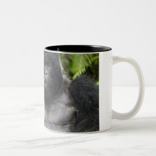 Berg Gorilla und Silverback Zweifarbige Tasse