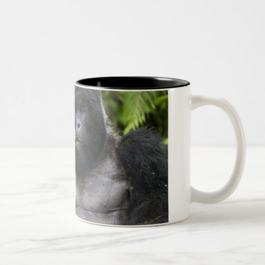Berg Gorilla und Silverback Zweifarbige Tasse (Rechts)