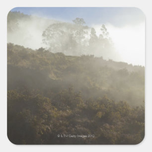 Berg Haleakala, Maui, Hawaii, USA Quadratischer Aufkleber