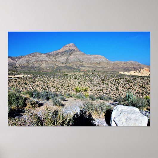 Berg in der Wüste Nevada Poster (Vorne)