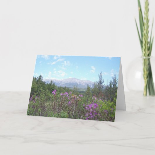 Berg Katahdin und Wildblumen Karte (Vorderseite)