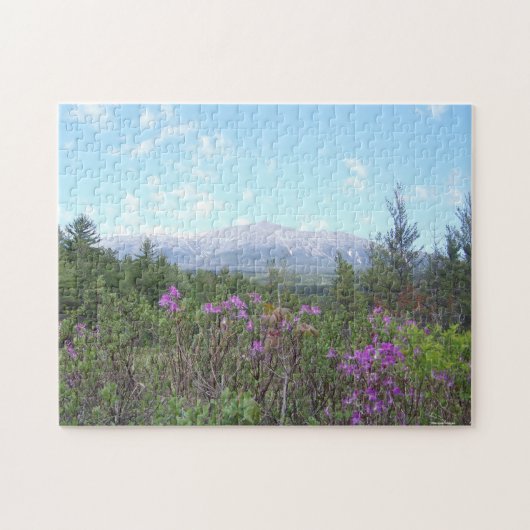 Berg Katahdin und Wildblumen Puzzle (Horizontal)