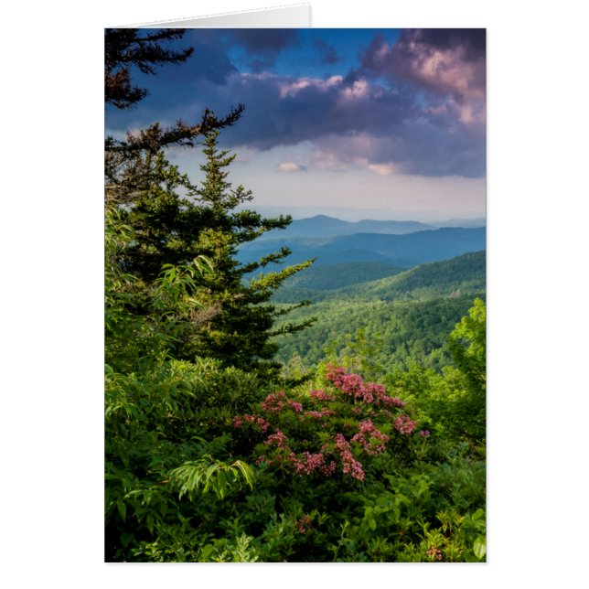 Berg Laurel bei Sonnenaufgang (Vorne)