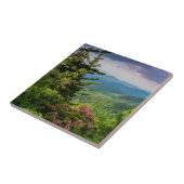 Berg Laurel bei Sonnenaufgang Fliese (Seite)