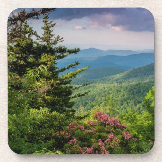 Berg Laurel bei Sonnenaufgang Untersetzer (Vorderseite)