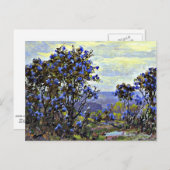 Berg Laurel in Bloom, Kunstmalerei Postkarte (Vorne/Hinten)