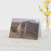 Berg Leonberger Karte (Gelbe Blume)