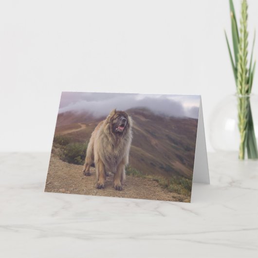 Berg Leonberger Karte (Vorderseite)