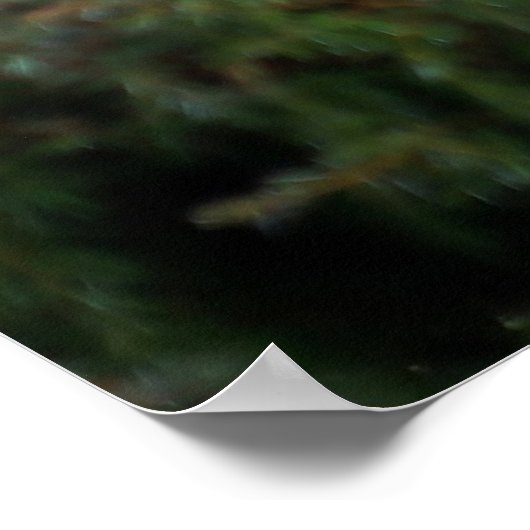 Berg Löwe am Lookout Poster (Ecke)