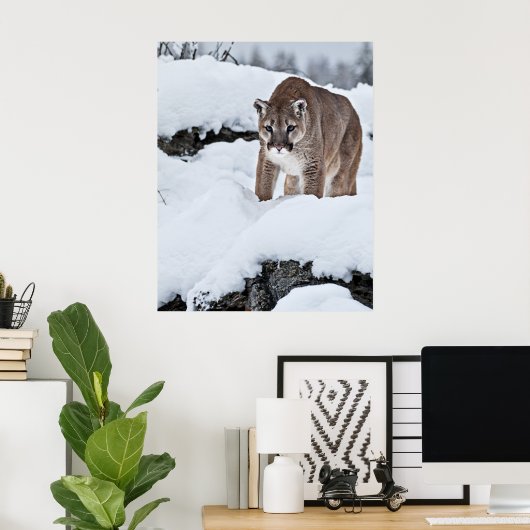 Berg Löwe auf der Jagd Poster (Heimbüro)