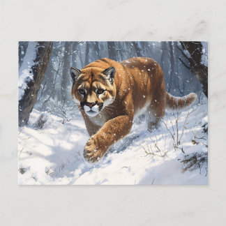 Berg Löwe im Schnee Postkarte