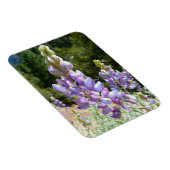 Berg-Lupinen im Yosemite Magnet (Rechte Seite)