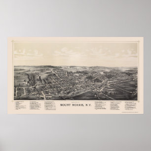 Berg Morris, NY panoramische Karte - 1893 Poster