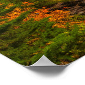 Berg Rainer, Spray Park Herbst Poster (Ecke)