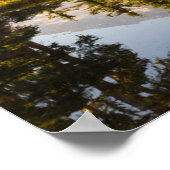 Berg Rainier reflektiert in einem Tal nahe der Plu Poster (Ecke)