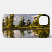 Berg Rainier reflektiert in einer Torte bei Plumme Case-Mate iPhone Hülle (Rückseite (Horizontal))