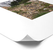 Berg Rainier Subalpine Landschaft Fotografisch Poster (Ecke)