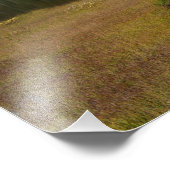 Berg Rainier und Reflektion des Sees Fotodruck (Ecke)