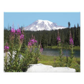 Berg Rainier und Wildblumen Landschaftliche Landsc Fotodruck (Vorne)