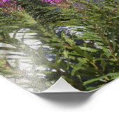 Berg Rainier und Wildblumen Landschaftliche Landsc Fotodruck (Ecke)