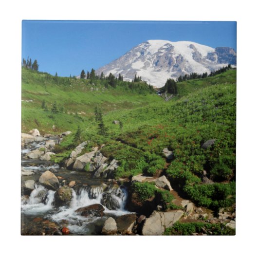 Berg Rainier, Wasserfall, schneebedeckt Fliese (Vorderseite)