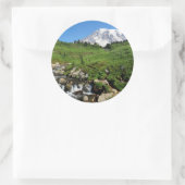 Berg Rainier, Wasserfall, schneebedeckt Runder Aufkleber (Tasche)