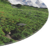 Berg Rainier, Wasserfall, schneebedeckt Schneidebrett (Ecke)